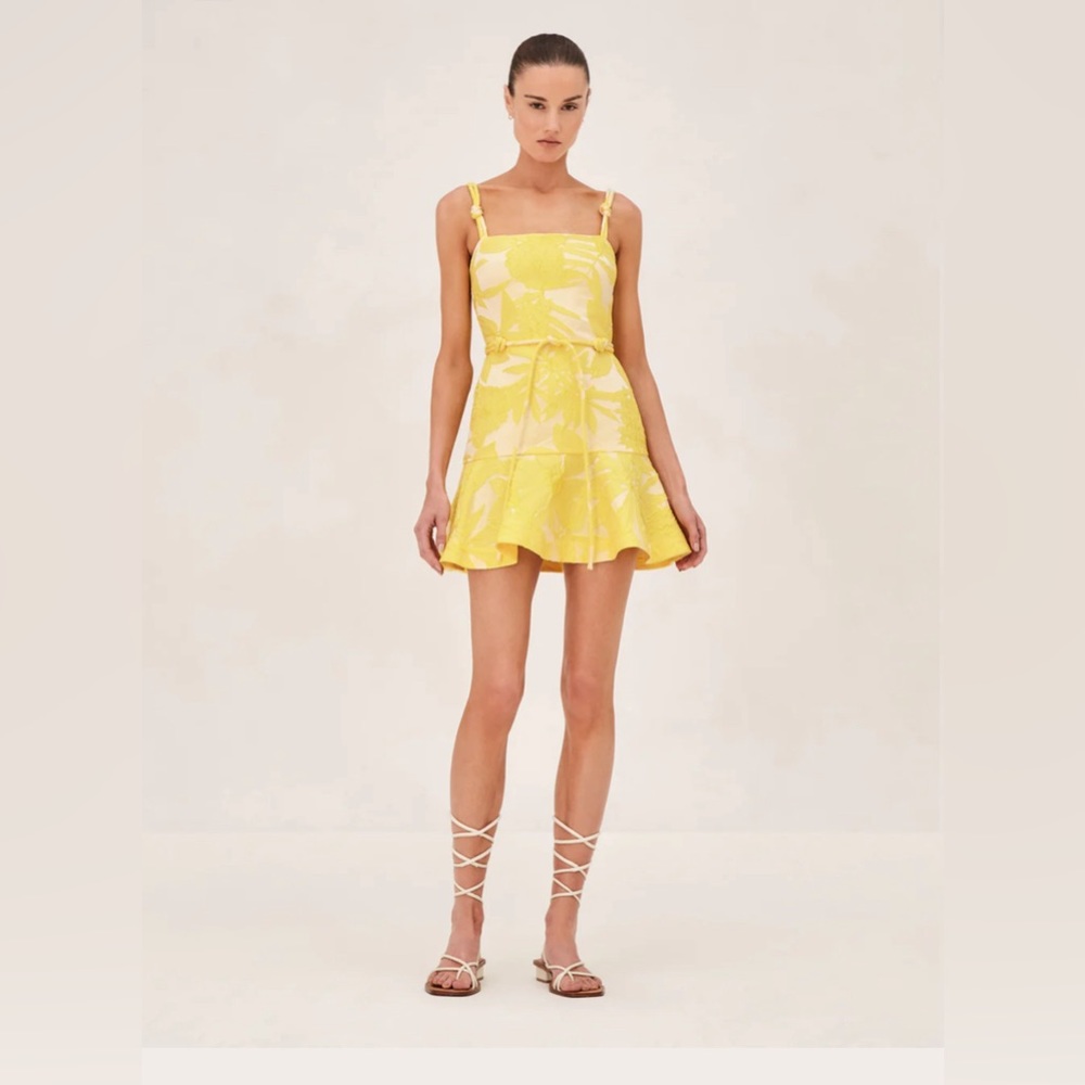 NWT Alik Dress Alexis - Small